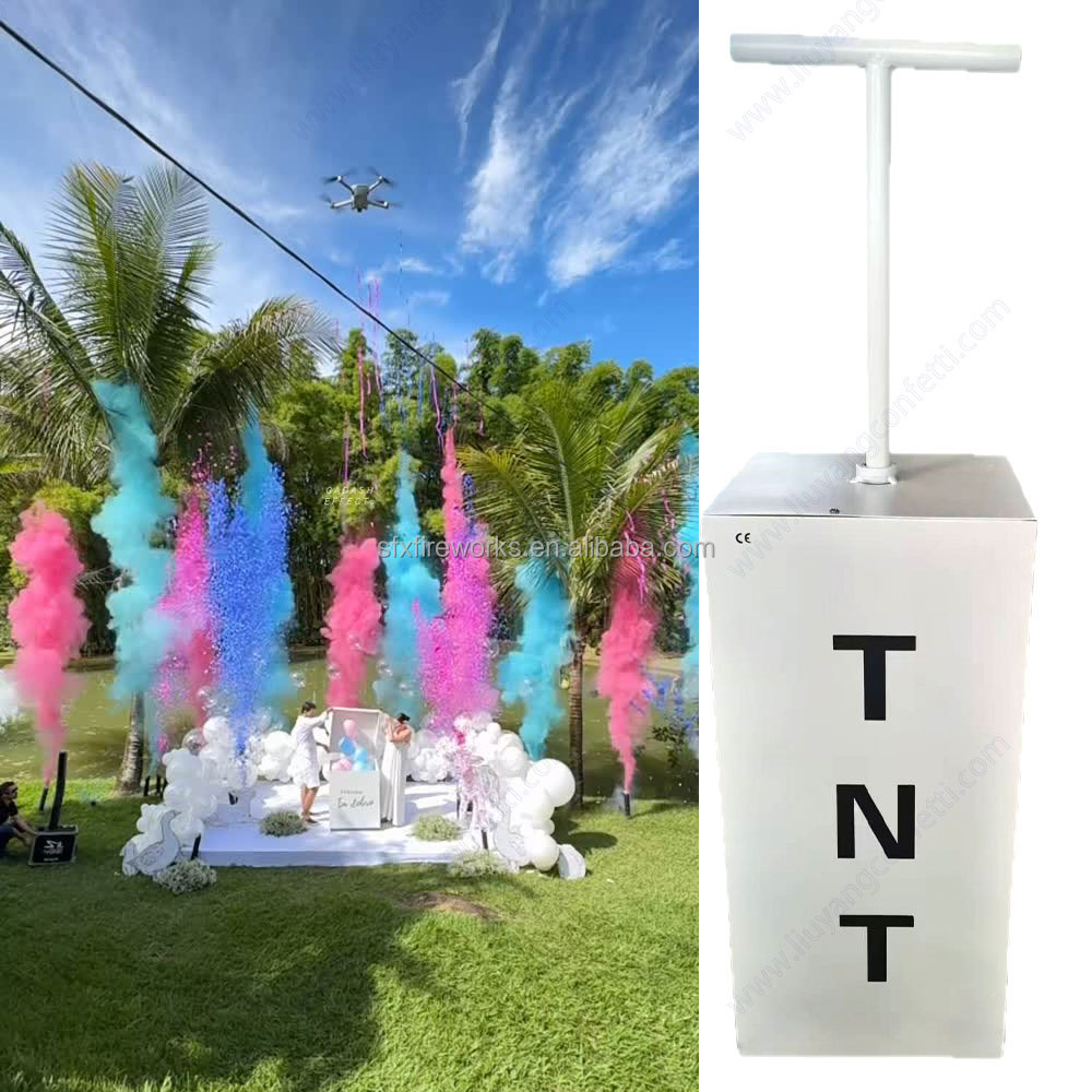 Electric Gender Reveal Smoke B - Confetti Cannon Tube avaliação e preço